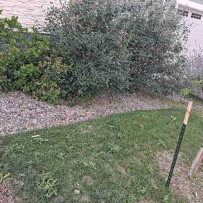 Bush Trimming by Job42 reviewed on August 28, 2026