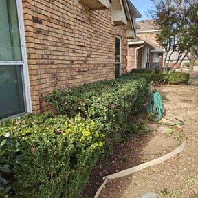 Bush Trimming by GC Lawn Care & Landscaping Services reviewed on August 16, 2025
