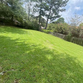 lawn care by Gladney Construction reviewed on August 27, 2024