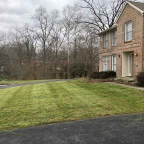 Leaf Removal by Lakewood Lawn Services reviewed on August 16, 2025