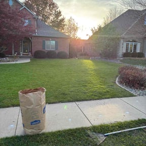 Leaf Removal by Green Tech Integrated Services Inc. reviewed on November 22, 2025