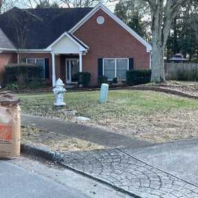 Leaf Removal by Rosa Lawn &amp; Tree reviewed on September 15, 2025