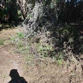 Cleanup by Deshun Walker Inc reviewed on November 19, 2025