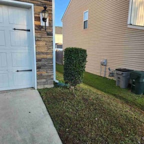 Bush Trimming by National preservation and REO services reviewed on August 15, 2025