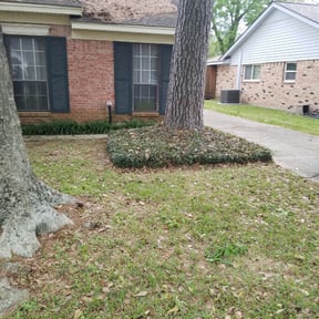 Bush Trimming by JA Performance Outdoor Services reviewed on August 19, 2025