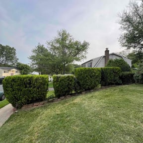Bush Trimming by Real Deal Lawn Care LLC reviewed on August 17, 2025