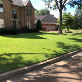 yard care by CV LAWN MAINTENANCE LLC reviewed on August 16, 2025