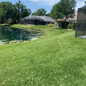 landscaping by Thayer's Property Maintenance reviewed on August 14, 2025