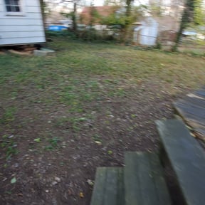 Leaf Removal by TNT landscaping &amp; Lawncare llc reviewed on September 15, 2025