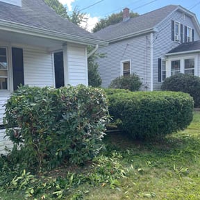 Bush Trimming by Legacy Landscaping reviewed on January 16, 2026