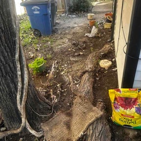 Leaf Removal by Roy Reddick reviewed on May 18, 2026