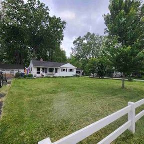 turf care by Creative Lawn Cuts & Landscaping reviewed on May 1, 2024