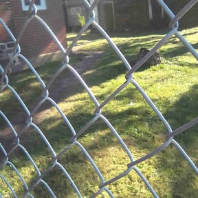 Leaf Removal by FRL Landscaping reviewed on September 21, 2025