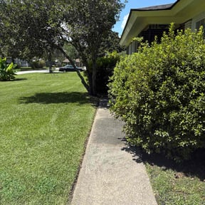 turf care by Inside Outside Resource reviewed on August 19, 2025