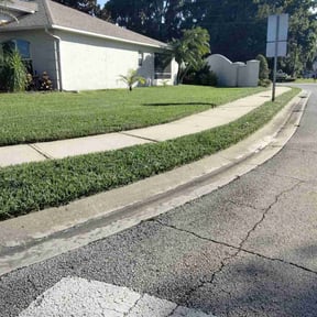 landscaping by TorresLawnservice reviewed on August 21, 2025