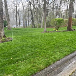 yard care by IMPAKT Lawn Solutions reviewed on August 15, 2025