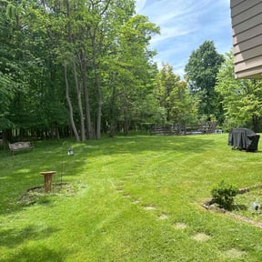 lawn service by Ali's Mowing reviewed on May 12, 2025