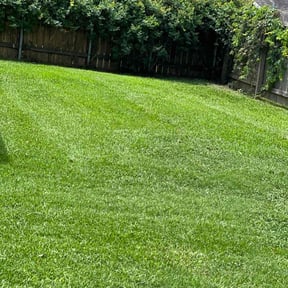 yard maintenance by Kingdom Men Lawncare & Landscaping reviewed on August 15, 2025