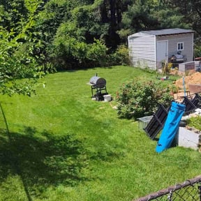 lawn maintenance by Artavius Clark reviewed on June 12, 2025