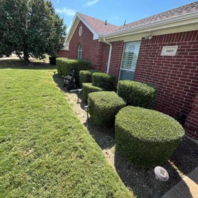 Bush Trimming by Northeast Yardworx reviewed on July 16, 2025