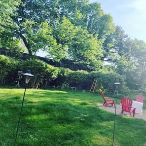 Bush Trimming by Multi Purpose Lawncare reviewed on August 17, 2025