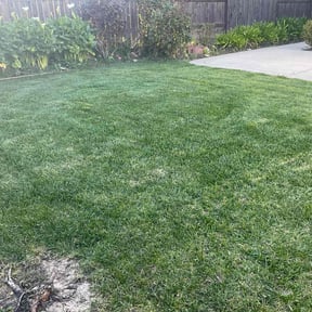 yard service by Diego Mojica Lawn Care reviewed on August 17, 2025