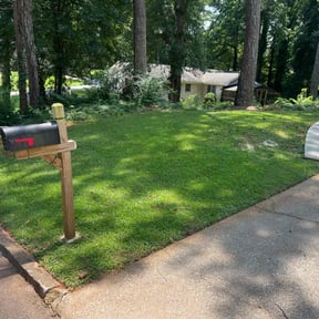 yard work by Tico's landscaping service reviewed on August 15, 2025