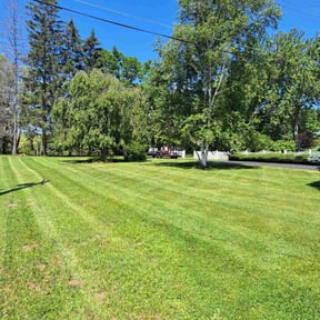 turf care by Totally Outdoors reviewed on August 21, 2025