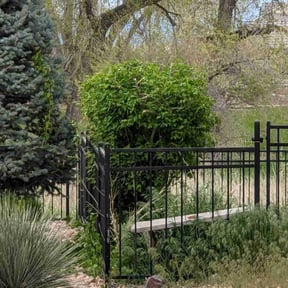 Bush Trimming by A.M. Lawncare Services LLC reviewed on August 15, 2025