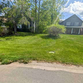 landscaping by Emanuel’s Lawncare reviewed on August 17, 2025