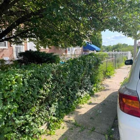 Bush Trimming by Shoregreen Lawn Maintenance LLC reviewed on April 24, 2022