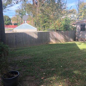 Leaf Removal by Baldwin Premium Lawn Care reviewed on September 25, 2025