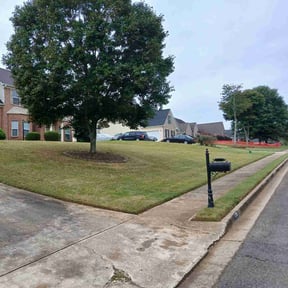 Bush Trimming by DeGore Landscaping reviewed on October 18, 2025