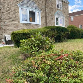 Bush Trimming by Cornerstone Outdoor Services reviewed on October 23, 2025