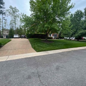 yard maintenance by Fiechtner Landscape Services reviewed on August 15, 2025