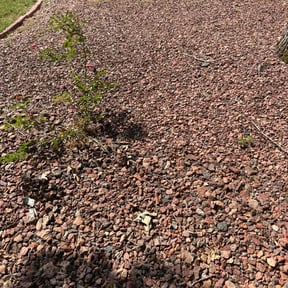 Leaf Removal by Jays lawn care reviewed on September 22, 2025