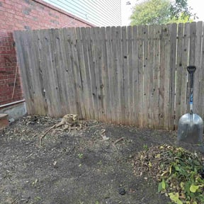 Bush Trimming by Atlanta Junk Removal and Lawns reviewed on August 16, 2025