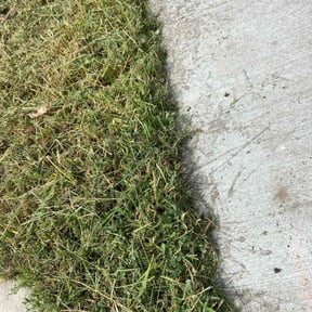 lawn service by Johnson Lawn Care reviewed on May 19, 2025