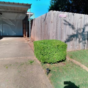 Bush Trimming by Two Sons and a Dad Lawn Care Services reviewed on August 21, 2025