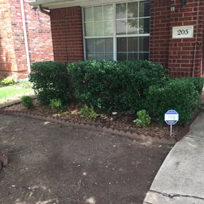 Bush Trimming by 3DM reviewed on April 24, 2024