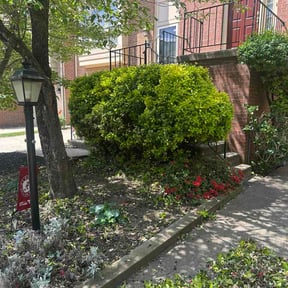 Bush Trimming by Figueroa Landscaping reviewed on April 29, 2026