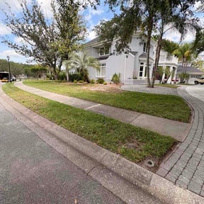 Leaf Removal by massagui landscaping reviewed on May 16, 2026