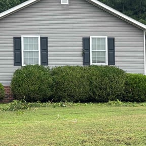 Bush Trimming by Diego Mojica Lawn Care reviewed on November 24, 2025