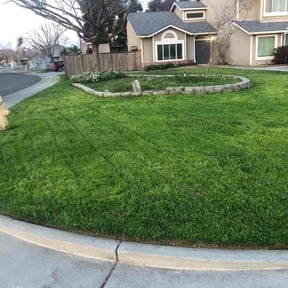 residential landscaping by Cervantes Lawn Care reviewed on February 14, 2026