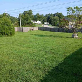 residential landscaping by A & B Premier Lawncare reviewed on August 21, 2025