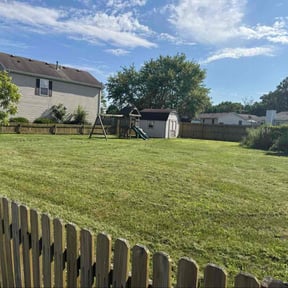 landscaping by G E D Services LLC reviewed on August 20, 2025