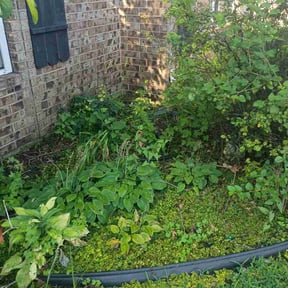 Flower Bed Weeding by LowKutz reviewed on July 16, 2026