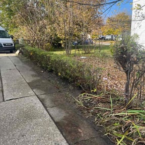 Bush Trimming by TruGreen LawnCare reviewed on June 3, 2025