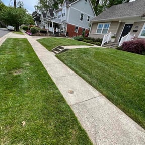grass cutting by Quality Pro. Construction reviewed on June 6, 2020