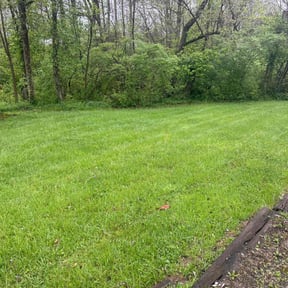gardening service by Jackson of All Trades reviewed on August 16, 2025